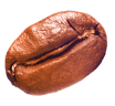 Single roasted coffee bean